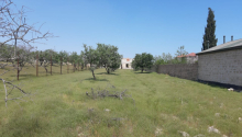 16 m2 Torpaq, Satış, Abşeron