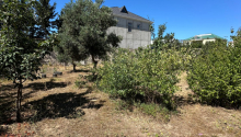 4 sot Torpaq, Satış, Bakı, Xəzər, Koroğlu