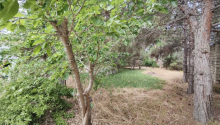 10 sot Torpaq, Satış, Bakı, Xəzər