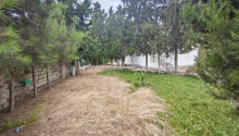 10 sot Torpaq, Satış, Bakı, Xəzər