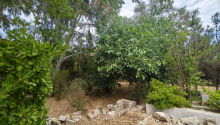 10 sot Torpaq, Satış, Bakı, Xəzər