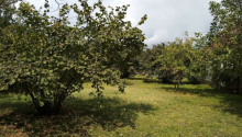 20 m2 Torpaq, Satış, Qəbələ