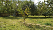20 m2 Torpaq, Satış, Qəbələ