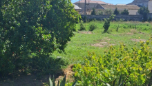 17 sot Torpaq, Satış, Bakı, Xəzər, Koroğlu