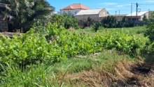 17 sot Torpaq, Satış, Bakı, Xəzər, Koroğlu