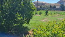 17 sot Torpaq, Satış, Bakı, Xəzər, Koroğlu