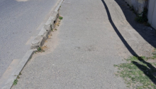 17 sot Torpaq, Satış, Bakı, Xəzər, Koroğlu