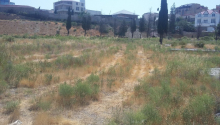 35 m2 Torpaq, Satış, Bakı, Xətai, Həzi Aslanov