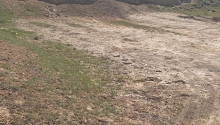 4 sot Torpaq, Satış, Abşeron