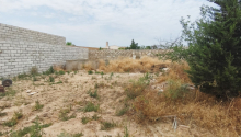 4 sot Torpaq, Satış, Bakı, Xəzər