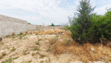 4 sot Torpaq, Satış, Bakı, Xəzər