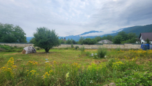 12000 m2 Torpaq, Satış, Qəbələ