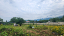 12000 m2 Torpaq, Satış, Qəbələ
