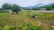 12000 m2 Torpaq, Satış, Qəbələ