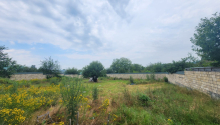 12000 m2 Torpaq, Satış, Qəbələ
