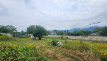 12000 m2 Torpaq, Satış, Qəbələ