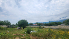 12000 m2 Torpaq, Satış, Qəbələ