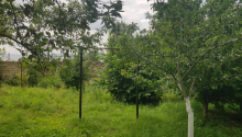 6 sot Torpaq, Satış, İsmayıllı