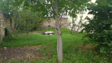 6 sot Torpaq, Satış, İsmayıllı