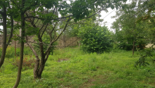 6 sot Torpaq, Satış, İsmayıllı