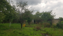 6 sot Torpaq, Satış, İsmayıllı