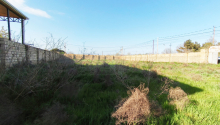 10 sot Torpaq, Satış, Abşeron