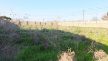 10 sot Torpaq, Satış, Abşeron