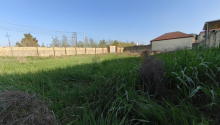 10 sot Torpaq, Satış, Abşeron