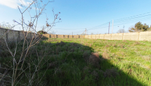 10 sot Torpaq, Satış, Abşeron