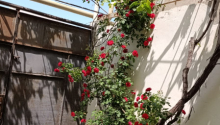 6 otaqlı Villa / Həyət evi, Satış, Bakı, Suraxanı