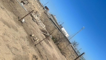 5 sot m2 Torpaq, Satış, Bakı, Xəzər