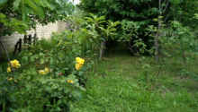 7 otaqlı Villa / Həyət evi, Satış, Abşeron