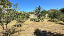 4 sot Torpaq, Satış, Bakı, Xəzər, Koroğlu