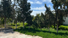 5 otaqlı Bağ evləri, Satış, Bakı, Xəzər, Koroğlu