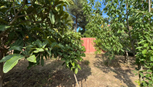 5 sot Torpaq, Satış, Bakı, Xəzər