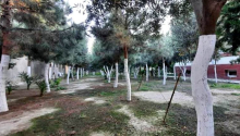 5 sot Torpaq, Satış, Bakı, Xəzər