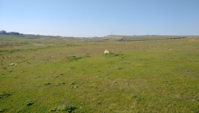 54 sot Torpaq, Satış, Bakı, Binəqədi