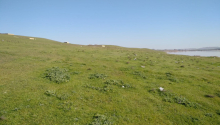 54 sot Torpaq, Satış, Bakı, Binəqədi