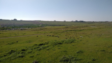 54 sot Torpaq, Satış, Bakı, Binəqədi