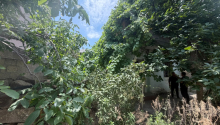5 sot Torpaq, Satış, Bakı, Suraxanı