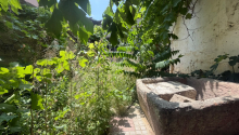 5 sot Torpaq, Satış, Bakı, Suraxanı