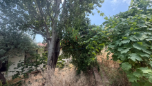 5 sot Torpaq, Satış, Bakı, Suraxanı