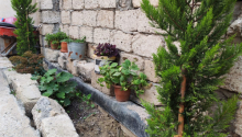 3 otaqlı Villa / Həyət evi, Satış, Bakı, Xəzər, Koroğlu