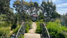 5 otaqlı Bağ evləri, Satış, Bakı, Xəzər, Koroğlu