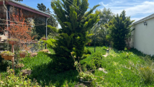 5 otaqlı Bağ evləri, Satış, Bakı, Xəzər, Koroğlu