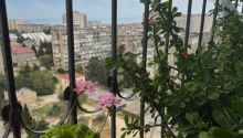 3 otaqlı Yeni tikili, Satış, Bakı, Xətai, Əhmədli