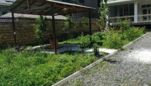 4 otaqlı Villa / Həyət evi, Kirayə (gündəlik), Qax