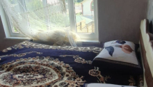 4 otaqlı Villa / Həyət evi, Kirayə (gündəlik), Qax