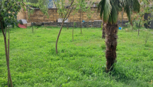 4 otaqlı Villa / Həyət evi, Kirayə (gündəlik), Qax