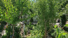 6 otaqlı Bağ evləri, Satış, Bakı, Xəzər, Koroğlu